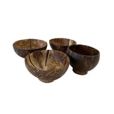 Coconut Water Play - 8pc