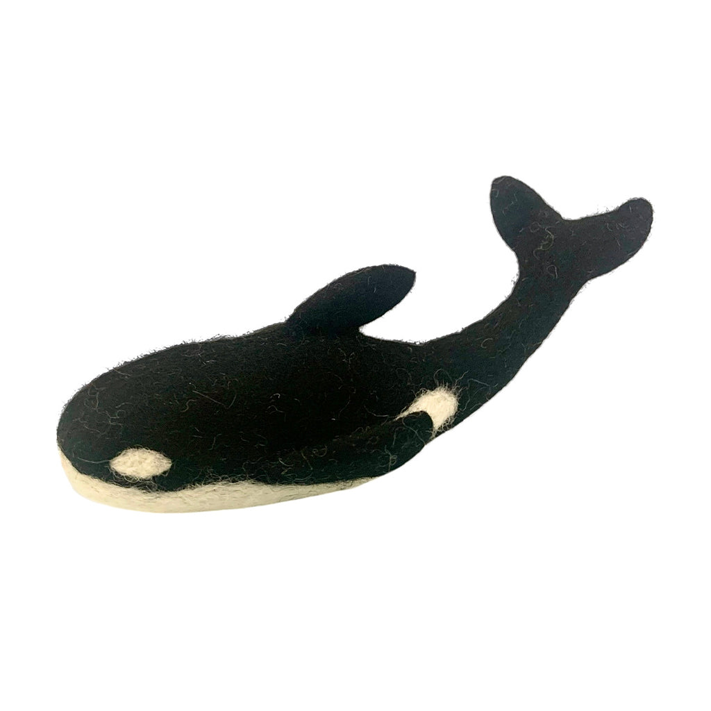 167-P-P1034_killer whale_01.jpg