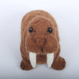 167-P-P1052_walrus_03.jpg