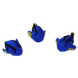 Blue Tang Fish - 3pc