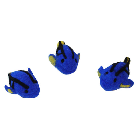 Blue Tang Fish - 3pc