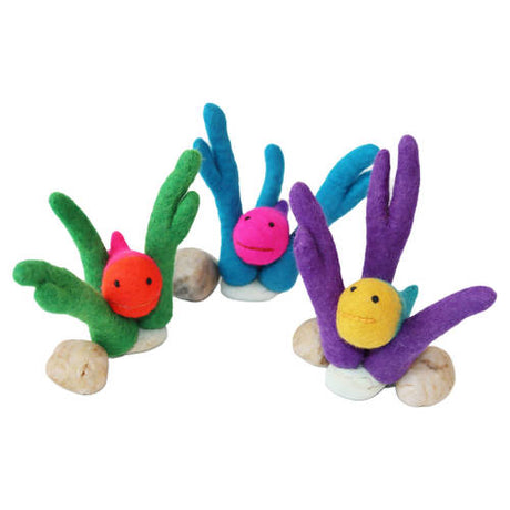 Blowfish - 3pc