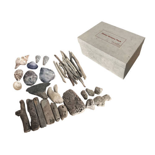 Ocean Sensory Box
