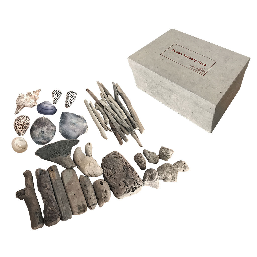 Ocean Sensory Box