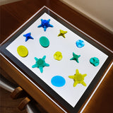 Lucite Sea Creatures - 12pc