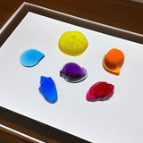 Shell Set Bright - 6pc