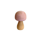 167-W-P502_wooden-mushrooms-pastel-7pc_05_large.jpg