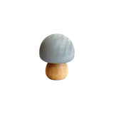 Wooden Mushrooms Pastel - 6pc