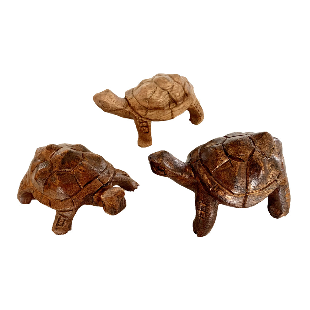 167-W-P506_turtles_01.jpg