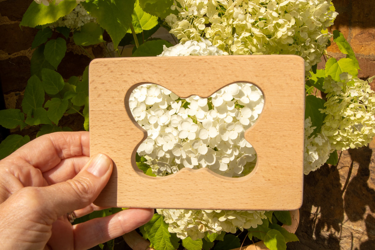 Little Looking Shapes - Set 1