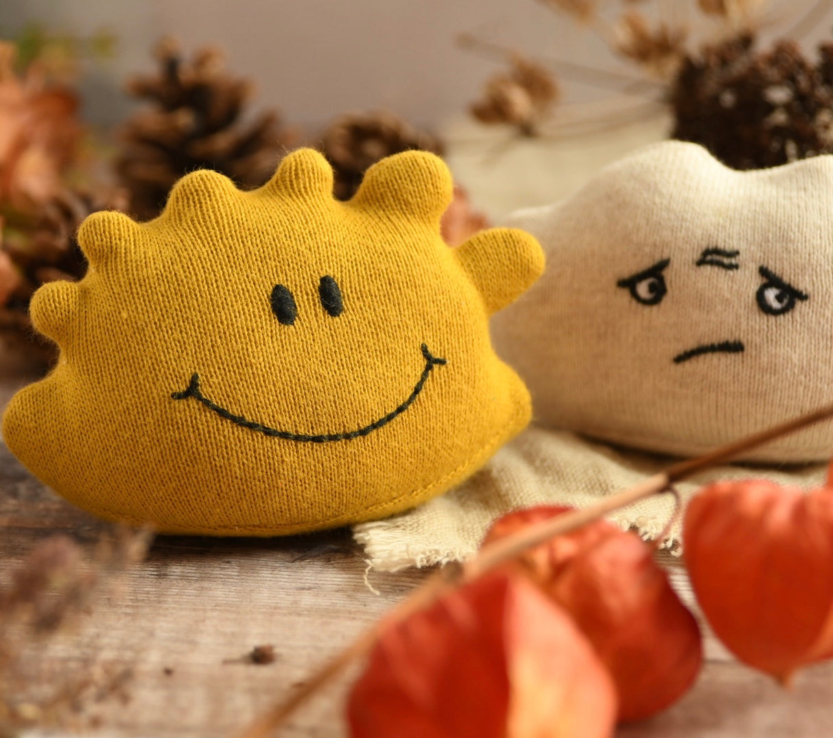 Bag of Buddies Set 1 - 4pc