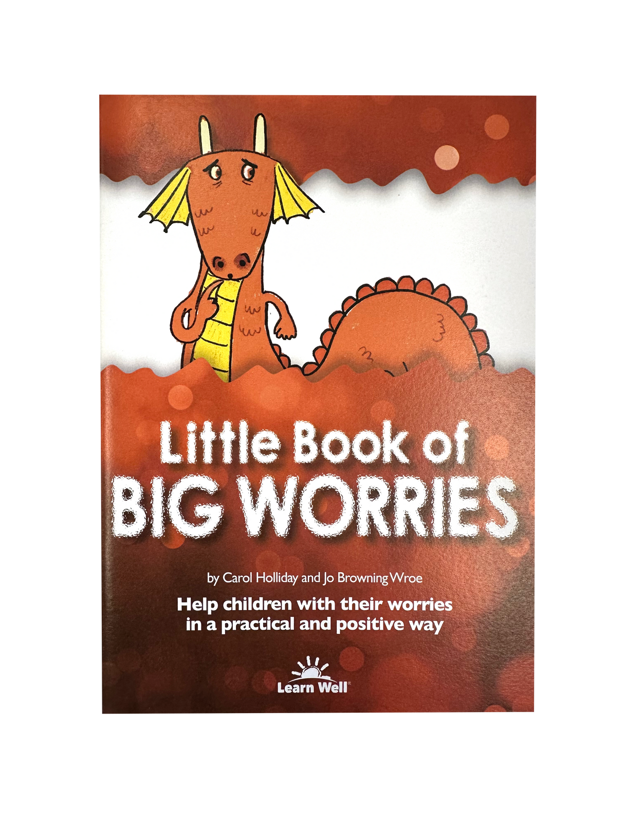Little Book of Big Worries