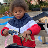 Dinosaur Wooden Characters