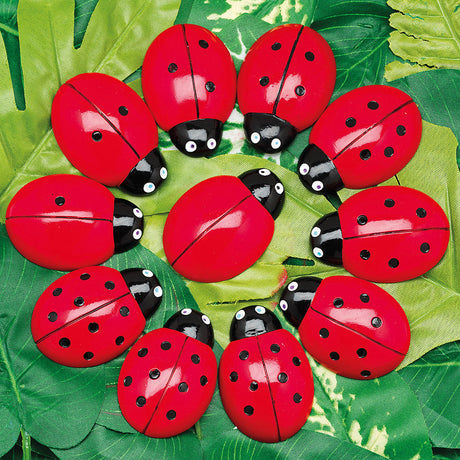 Ladybirds - Counting Stones