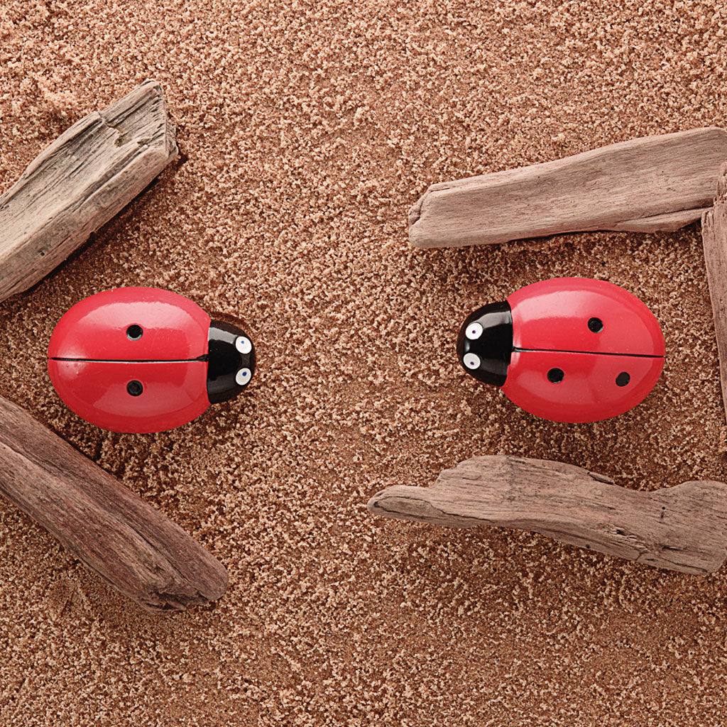 Ladybirds - Counting Stones