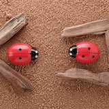 Ladybirds - Counting Stones