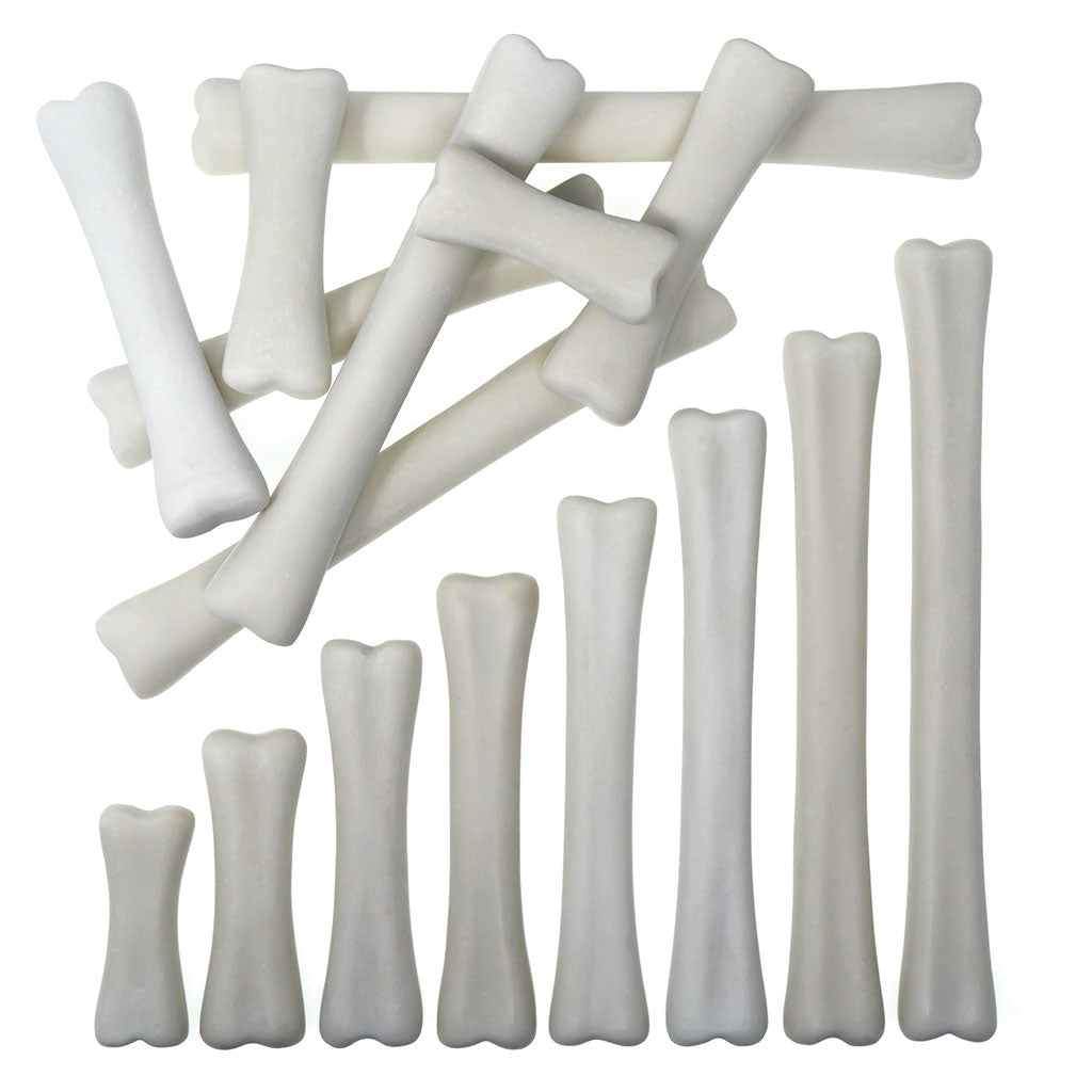 Dinosaur Bones Match and Measure Set