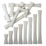 Dinosaur Bones Match and Measure Set