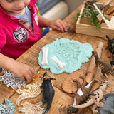 Dinosaur Bones Match and Measure Set
