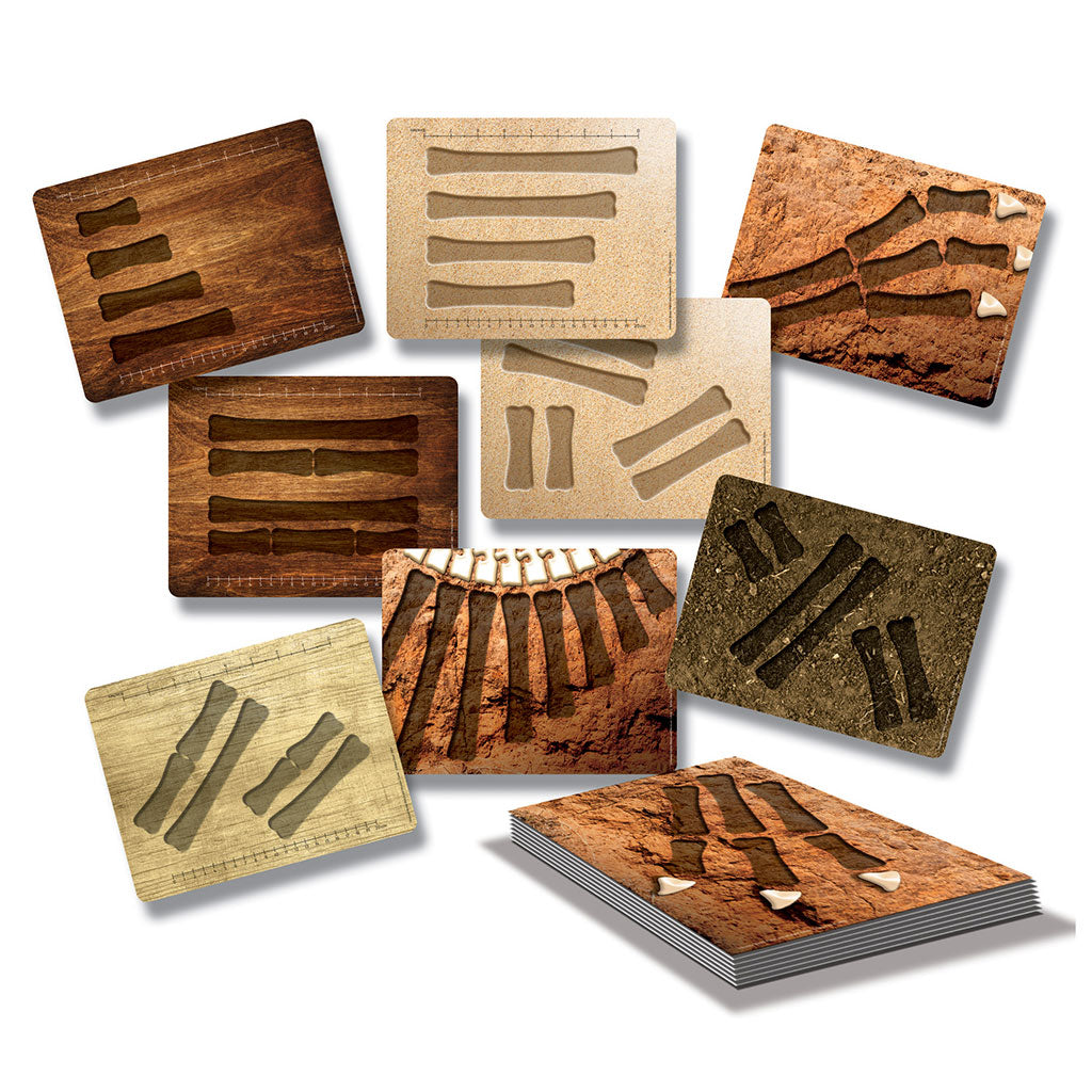 Dinosaur Bones Match and Measure Activity Cards