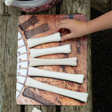 Dinosaur Bones Match and Measure Activity Cards