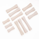 Dinosaur Bones Discovery Set - Set of 12