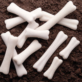Dinosaur Bones Discovery Set - Set of 12