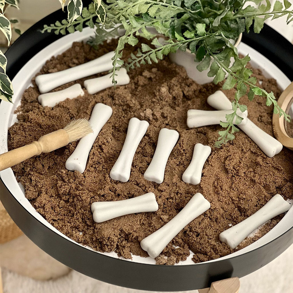 Dinosaur Bones Discovery Set - Set of 12