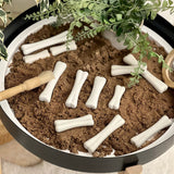 Dinosaur Bones Discovery Set - Set of 12