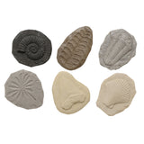 Play & Explore Fossils Set of 8