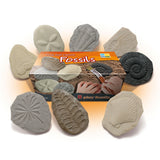 Play & Explore Fossils Set of 8
