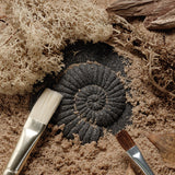 Play & Explore Fossils Set of 8