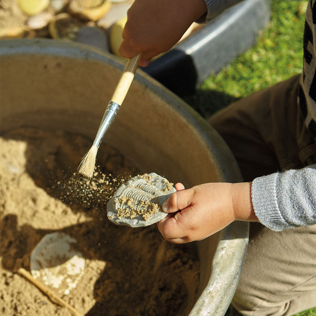 Play & Explore Fossils Set of 8