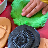 Play & Explore Fossils Set of 8