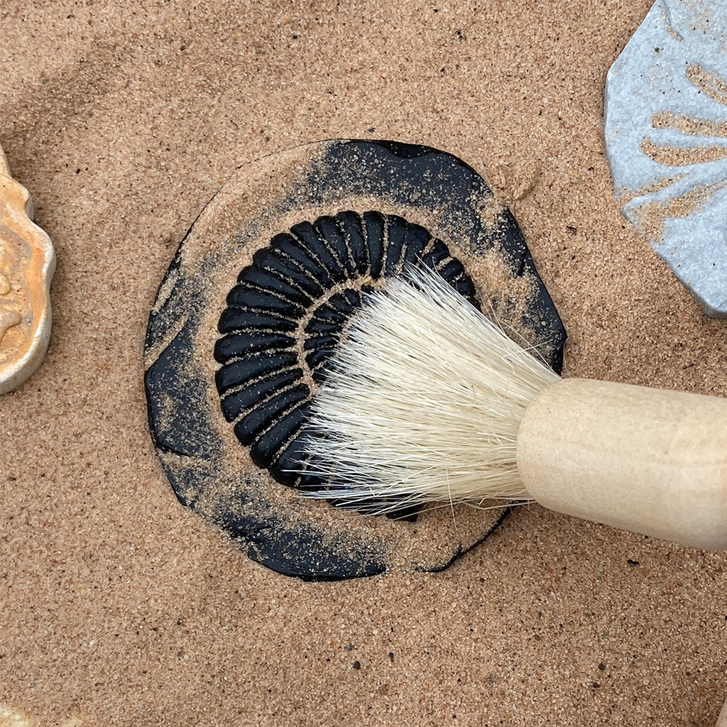 Play & Explore Fossils Set of 8