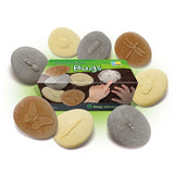 Play & Explore Bugs - Set of 8