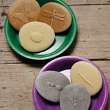 Play & Explore Bugs - Set of 8