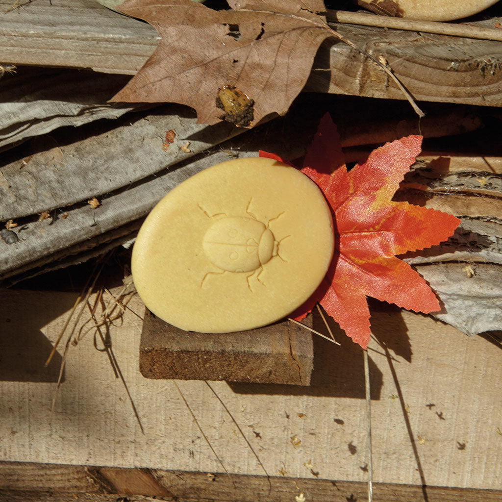 Play & Explore Bugs - Set of 8