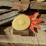 Play & Explore Bugs - Set of 8