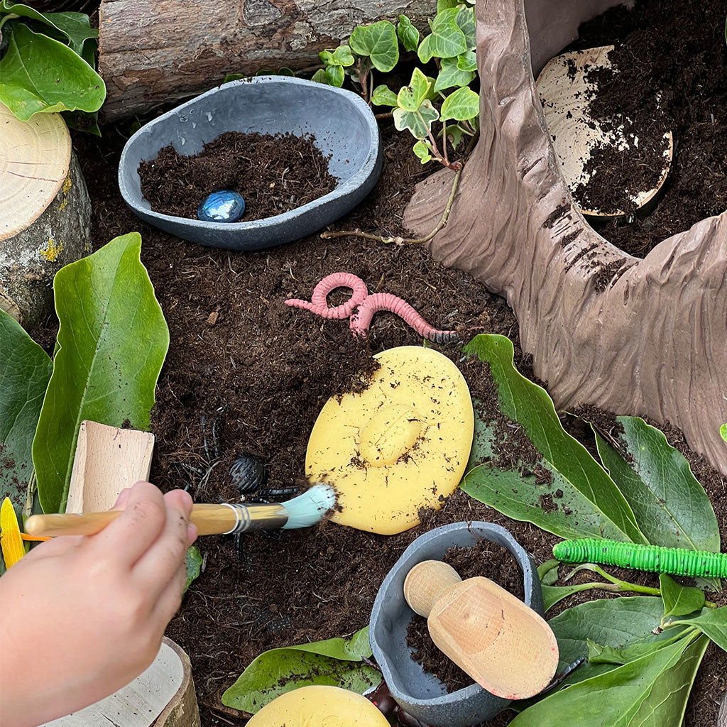 Play & Explore Bugs - Set of 8