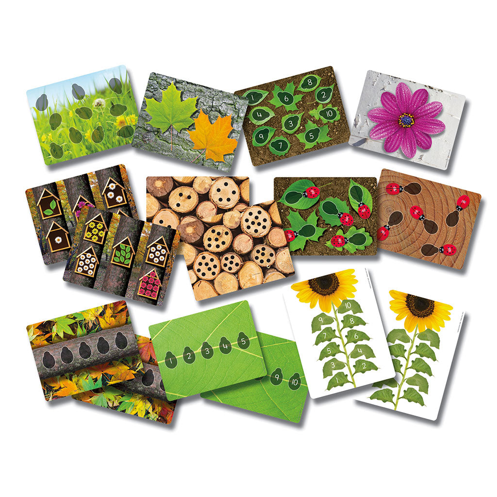 Ladybirds - Early Number Cards Set