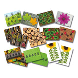 Ladybirds - Early Number Cards Set