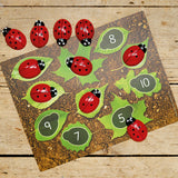 Ladybirds - Early Number Cards Set