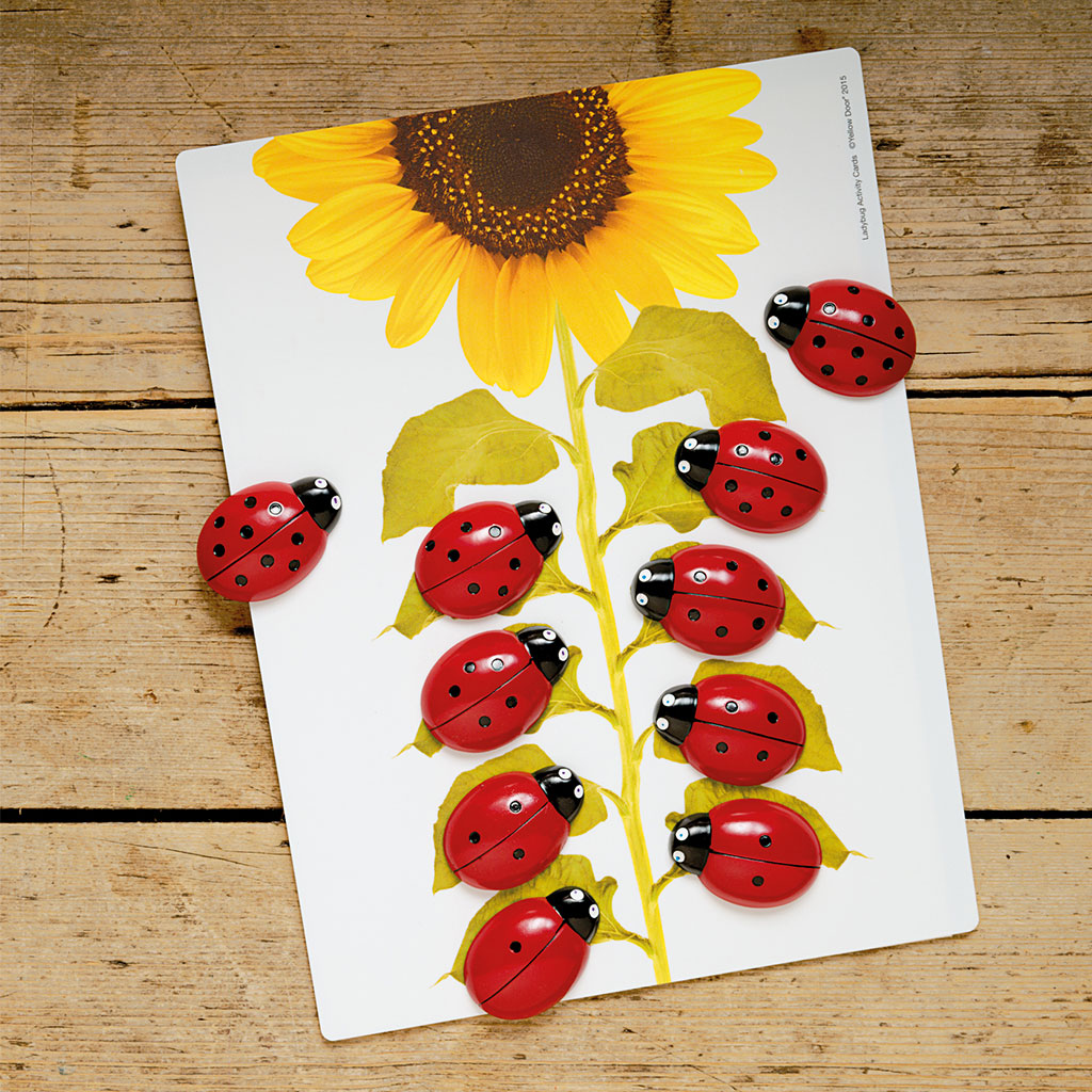Ladybirds - Early Number Cards Set