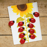 Ladybirds - Early Number Cards Set