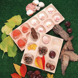 Natural Sorting Tray