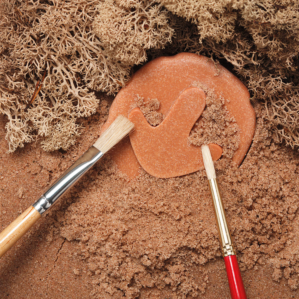 Dinosaur Footprints - Set of 8