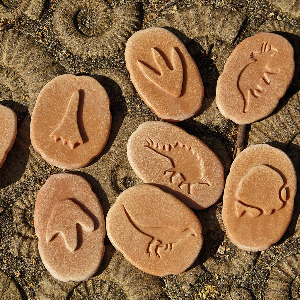 Dinosaur Footprints - Set of 8