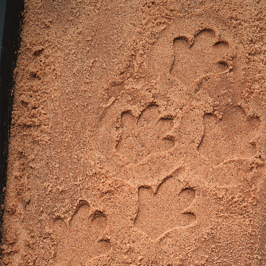 Safari Footprints - Set of 8