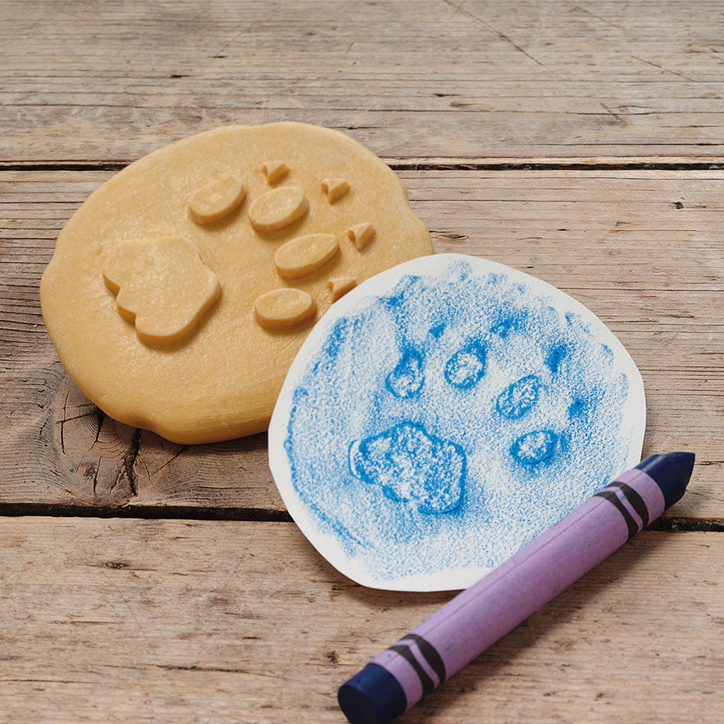 Safari Footprints - Set of 8